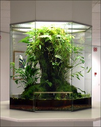 Vivarium